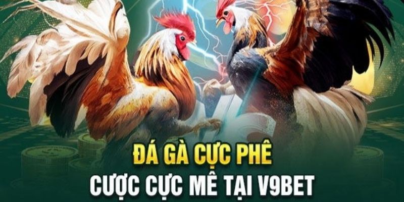 Các cửa cược nổi bật